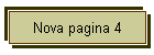 Nova pagina 4