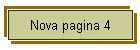 Nova pagina 4